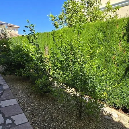 Casa vacanze Limon *